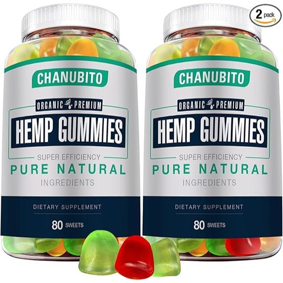 Organic Hemp Gummies (2 Packs) - High Potency Low Sugar