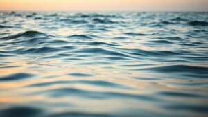 The Slow Wave of Calm That Makes a Difference